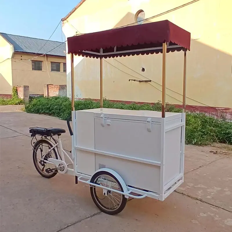 Classic Pedal Ice Cream Cart Bike