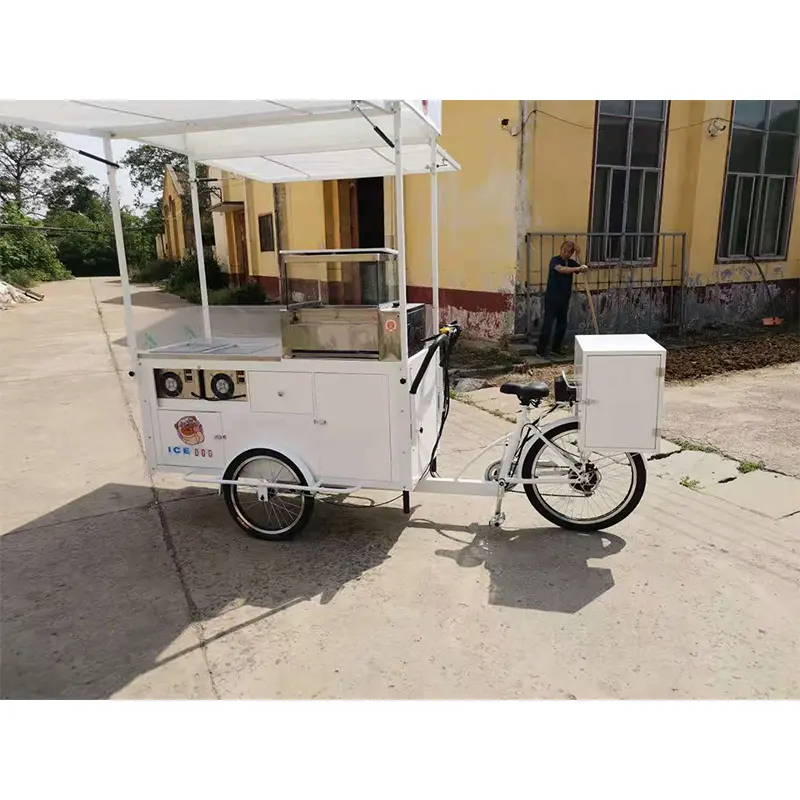 Lightweight Push and Pedal Snack Bike